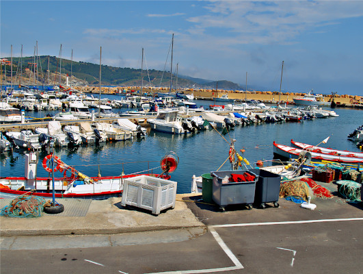 Banyuls